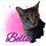 Wyldoats (transaction)